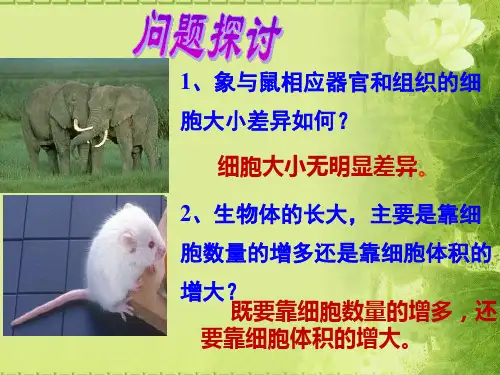 人教版生物必修一6.1.1细胞的增殖(共14张PPT)