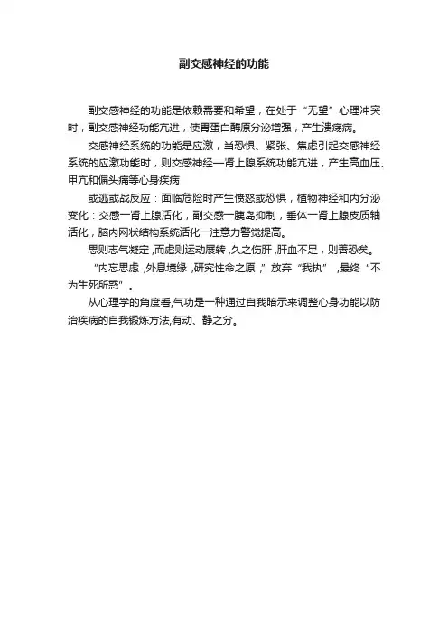 副交感神经的功能