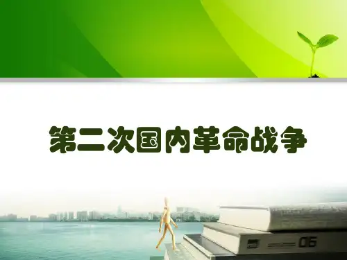 第二次国内革命战争