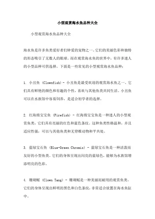 小型观赏海水鱼品种大全