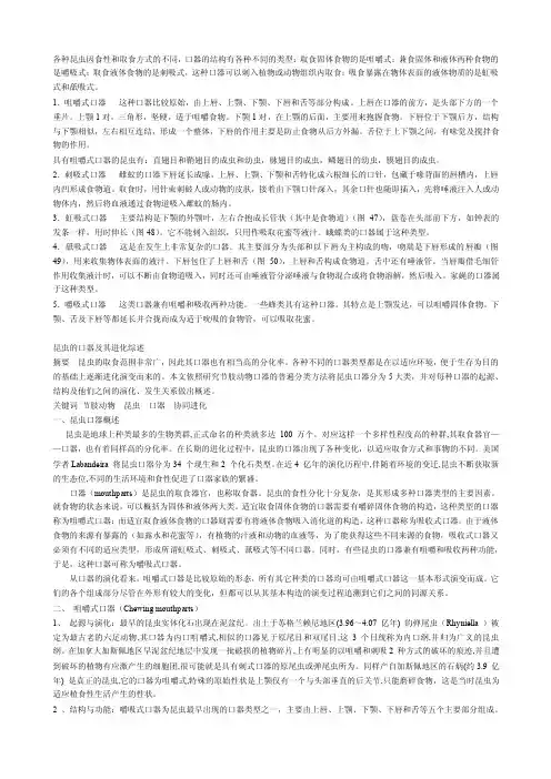 昆虫口器——精选推荐