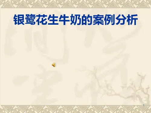 银鹭案例分析PPT课件