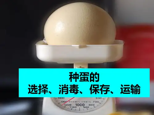 第一讲种蛋管理：选择消毒保存与运输