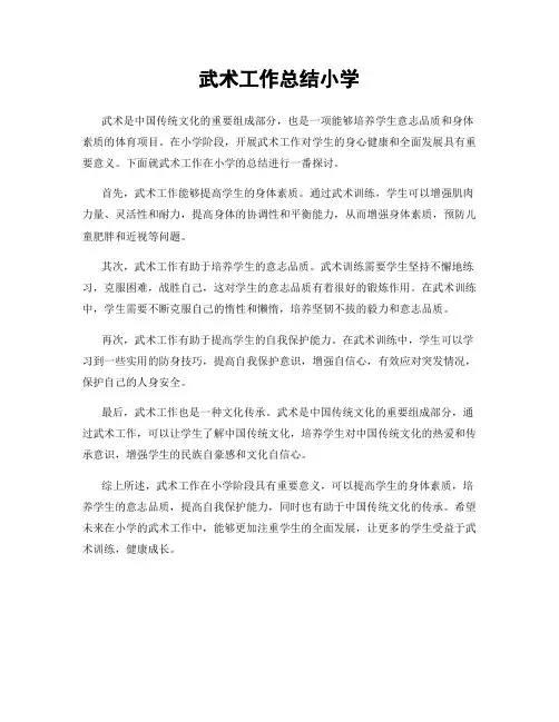 武术工作总结小学