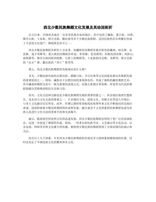 西北少数民族舞蹈文化发展及其动因剖析