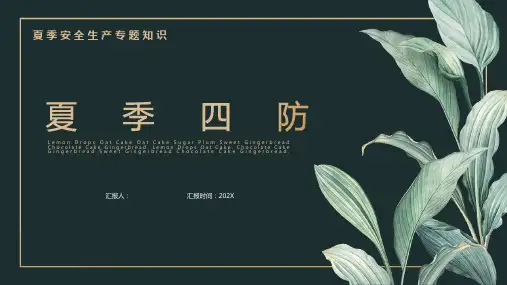夏季四防安全生产专题知识讲座PPT模板课件