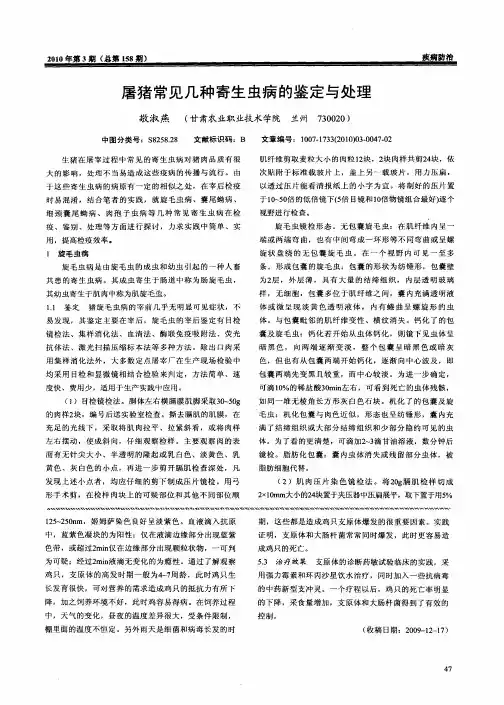 屠猪常见几种寄生虫病的鉴定与处理
