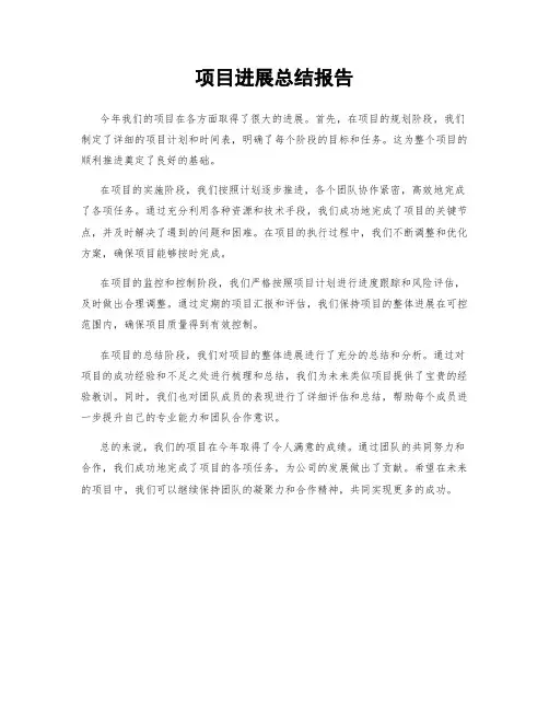 项目进展总结报告