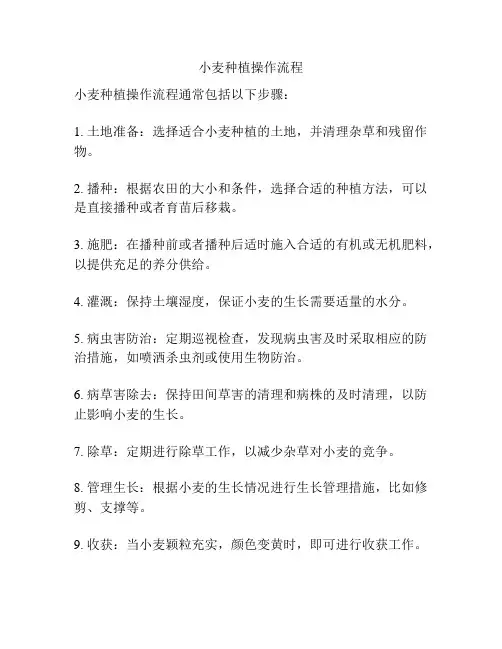 小麦种植操作流程