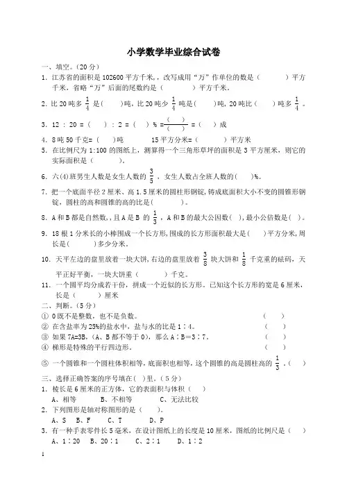 苏教版小学数学 毕业综合试卷
