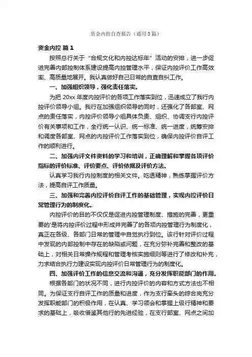 资金内控自查报告（通用3篇）