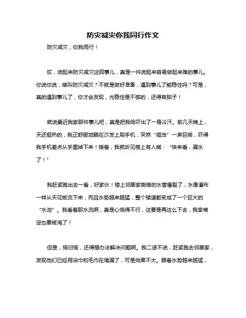 防灾减灾你我同行作文