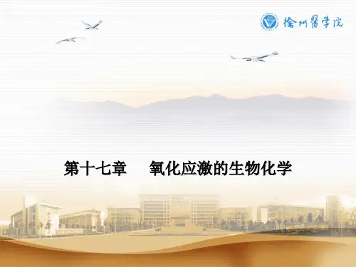 歧化反应·过氧化氢酶catalaseCAT