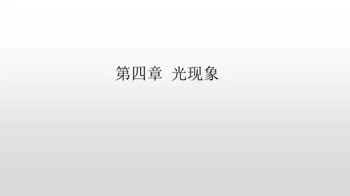 第四章《光现象》专题复习 课件(共17张PPT) 2023-2024学年人教版物理八年级上册