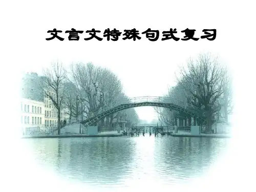 文言文特殊句式