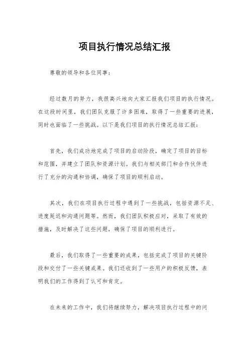 项目执行情况总结汇报