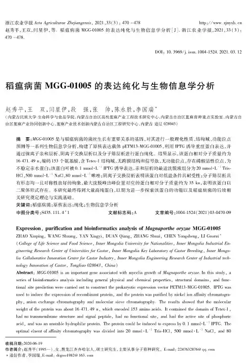 稻瘟病菌MGG-01005的表达纯化与生物信息学分析