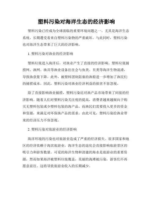 塑料污染对海洋生态的经济影响