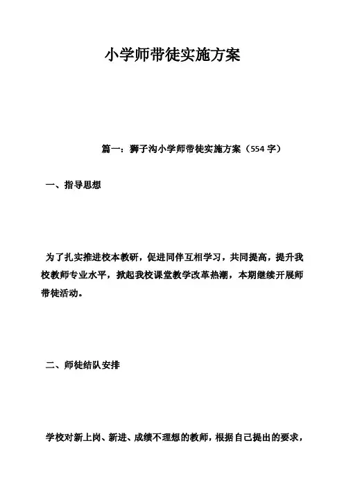 小学师带徒实施方案