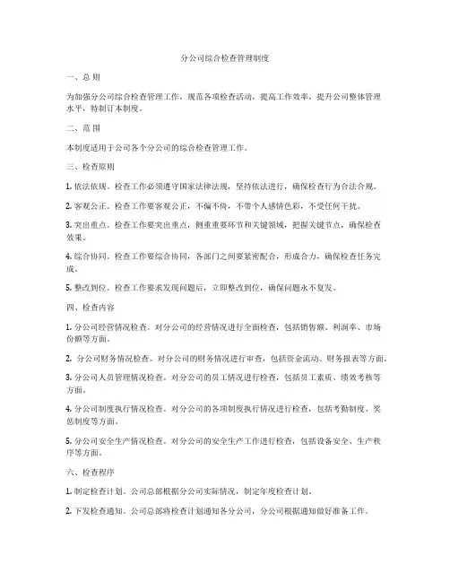 分公司综合检查管理制度