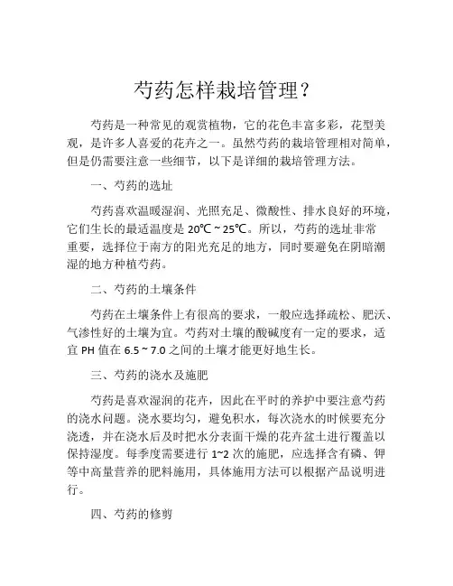 芍药怎样栽培管理？
