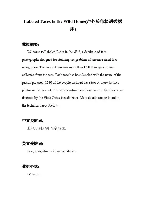图像处理_Labeled Faces in the Wild Home(户外脸部检测数据库)