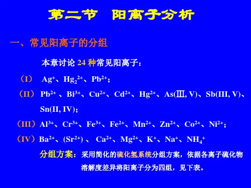 阳离子分析
