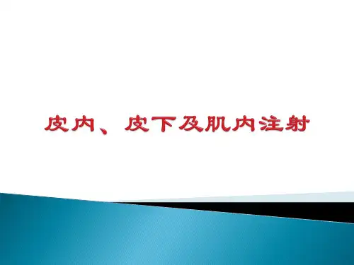 皮内、皮下及肌内注射全