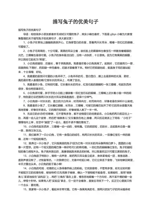 描写兔子的优美句子