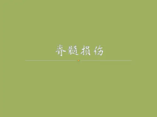 脊髓损伤_精品文档