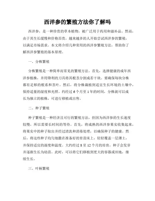 西洋参的繁殖方法你了解吗