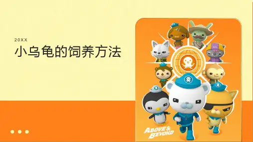 小乌龟怎么养
