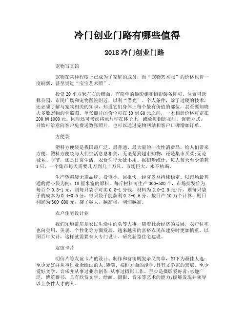 冷门创业门路有哪些值得