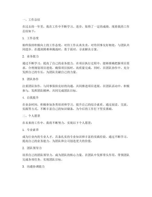 工作总结写个人愿景