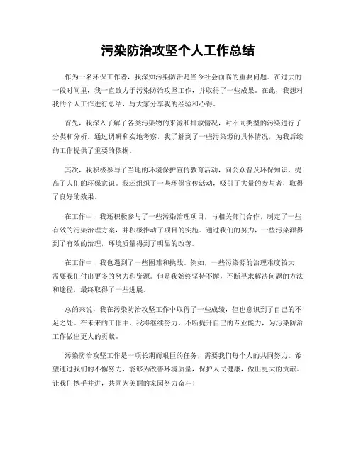 污染防治攻坚个人工作总结