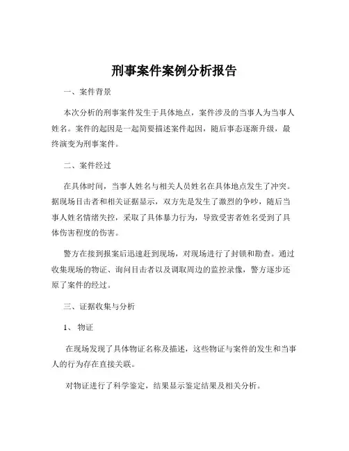 刑事案件案例分析报告