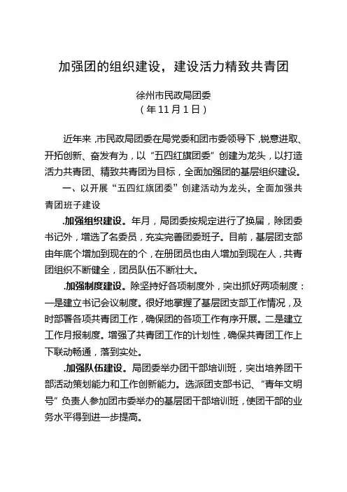 加强团的组织建设