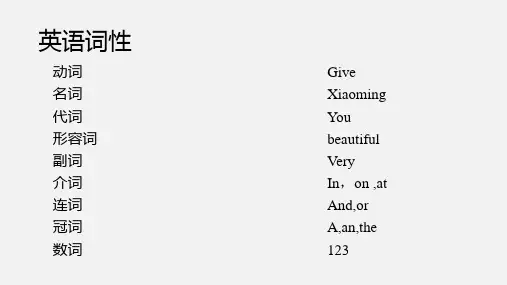 专升本英语第一章  名词和代词