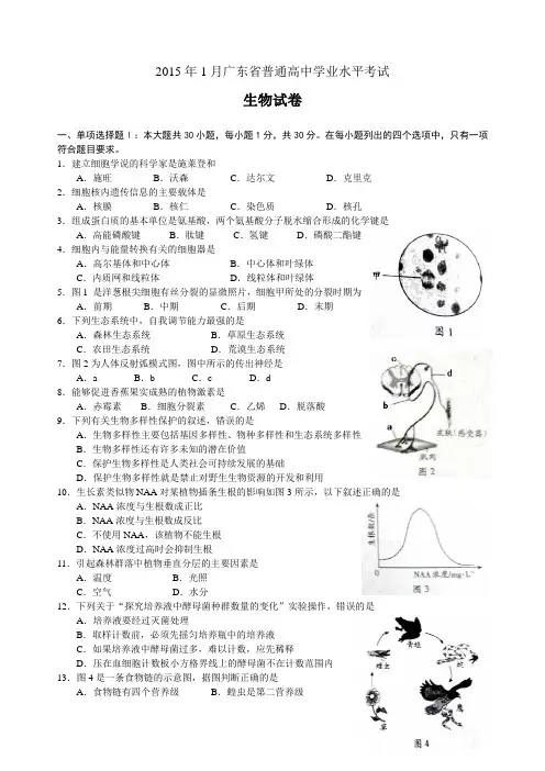 2015年1月广东省普通高中学业水平考试   生物(试卷和答案)