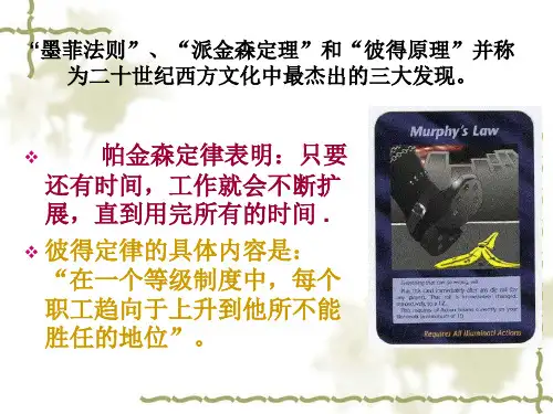 每天学点管理学第六天墨菲定律课件.