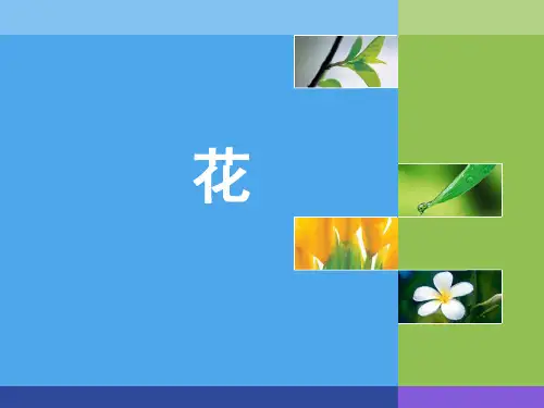 药用植物学 第二章-器官-花