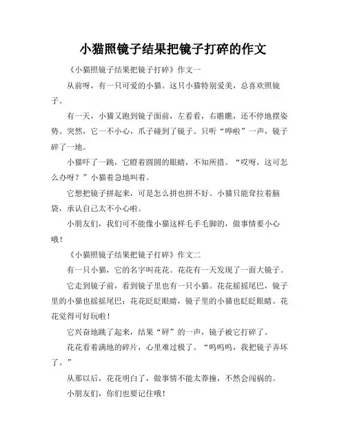 小猫照镜子结果把镜子打碎的作文