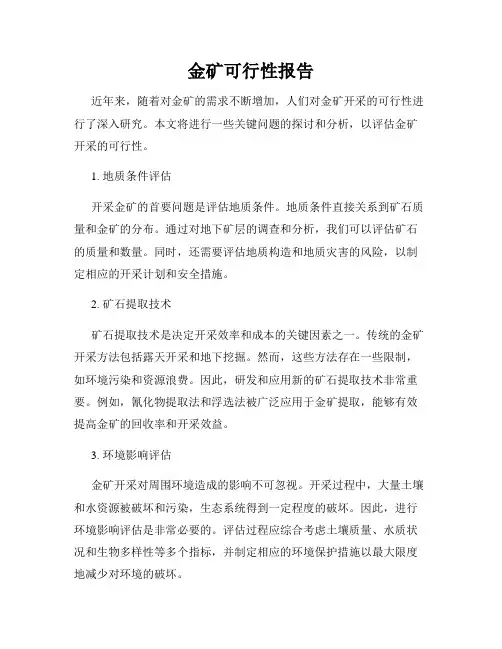 金矿可行性报告
