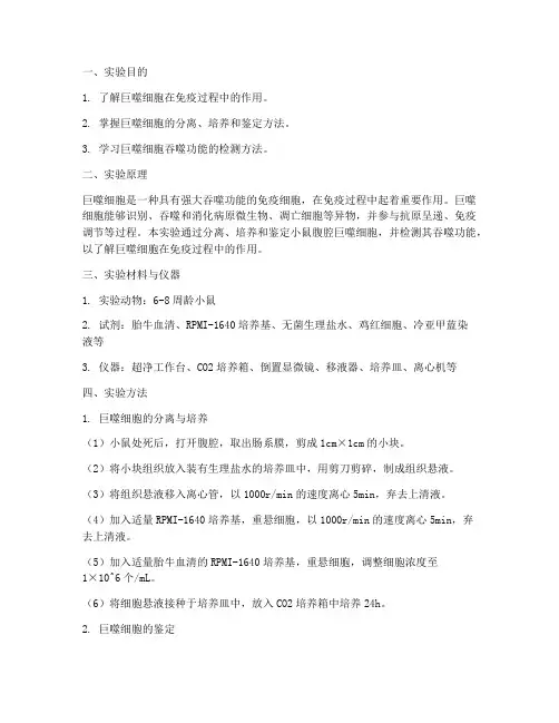 巨噬细胞功能实验报告
