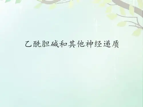 乙酰胆碱和其他神经递质 ppt课件