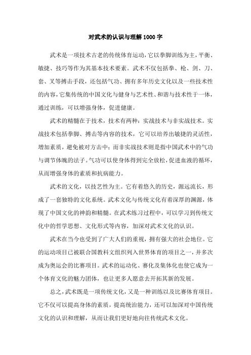 对武术的认识与理解1000字