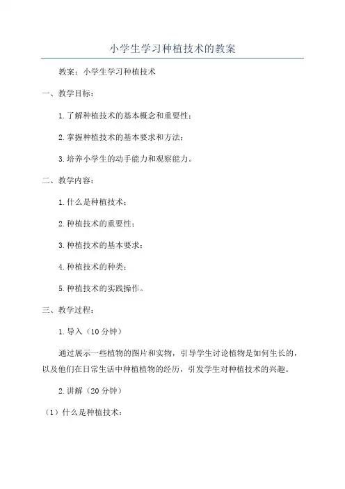 小学生学习种植技术的教案