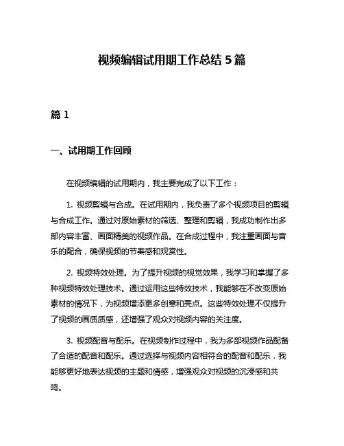 视频编辑试用期工作总结5篇