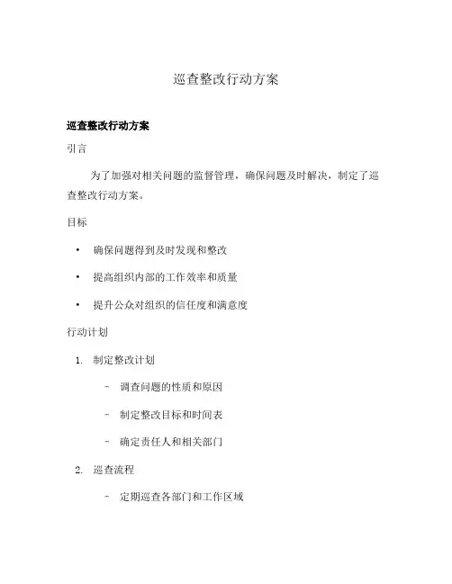 巡查整改行动方案