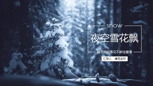 雪花小清新简约PPT模板